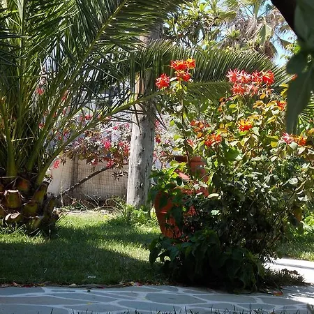 Keti Kapri 3* Plaka (Naxos)